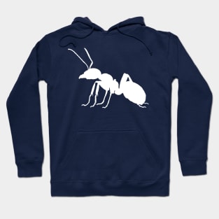 Ant Hoodie